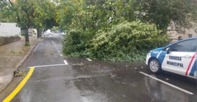 Imagem ilustrativa da imagem Defesa Civil de Londrina atende 21 ocorrências por causa da chuva