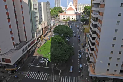 Vista da Alameda Miguel Blasi, a partir do edifício Santa Mônica, mostra as árvores perfiladas e fundo antigo da Catedral Metropolitana de Londrina