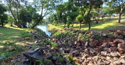 Projeto pioneiro: plantio de vegetação para formar uma barreira de contenção e colocação de pedras para formas pequenas piscinas