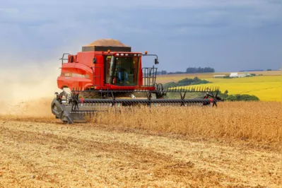 A produção de grãos, como a soja, estão entre as que mais provocam sinistro de seguro rural  no Paraná