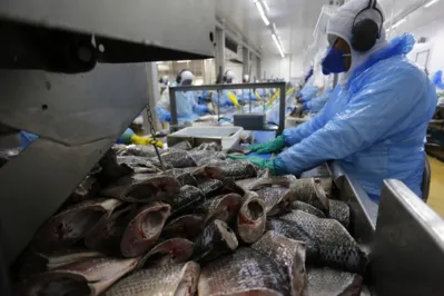 O bom desempenho do Estado é puxado pelo modelo cooperativista de integração, que garante suporte produtivo, industrial e de comercialização dos pescados