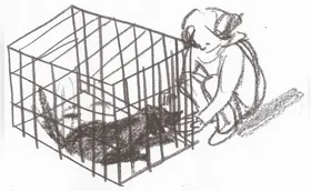 Saudade de cachorro: uma história de delicadezas