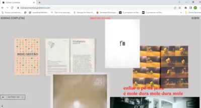 A exposição virtual Sobras Completas ficará aberta à visitação durante dois meses