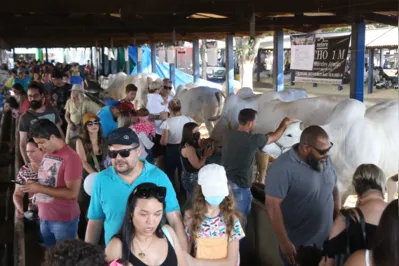 Organizadores acreditam que a feira de 2022 vai superar o número de visitantes da expo de 2019,  que alcançou público de  464 mil pessoas