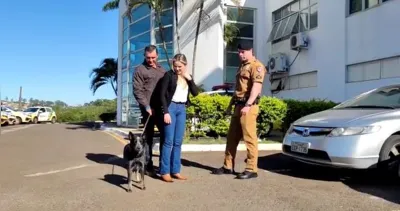 Imagem ilustrativa da imagem Casal reencontra cão cinco meses após desaparecimento em Londrina