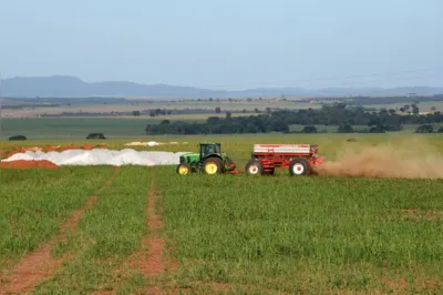 Em Goiás, fazenda utiliza remineralizadores. O setor agrícola brasileiro está, cada vez mais, se voltando para alternativas naturais