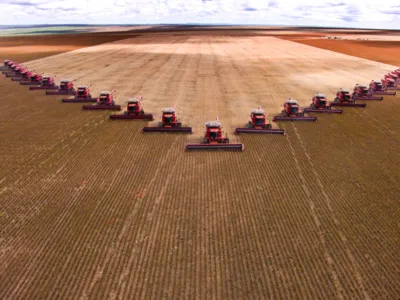 Imagem ilustrativa da imagem ESPAÇO ABERTO - O Brasil do agronegócio e da fome