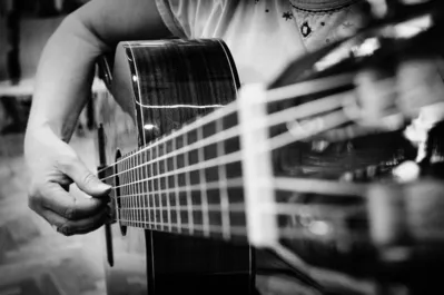 Festival de inverno traz uma extensa programação musical