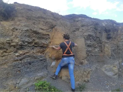 O achado dos fósseis ocorreu durante trabalhos de campo: "A descoberta foi uma verdadeira surpresa"