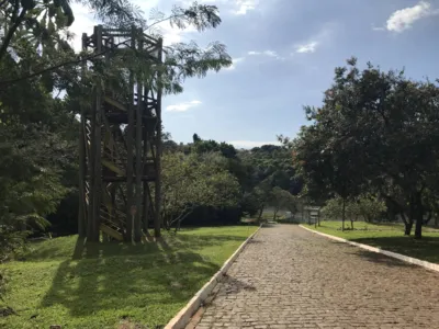 Imagem ilustrativa da imagem OPINIÃO DO LEITOR -  Parque Arthur Thomas