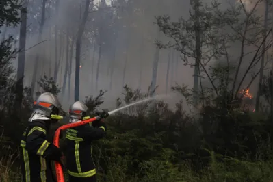Em quase toda a Europa, bombeiros lutam contra focos de incçendios; temperatura em vários países passa de 40 graus