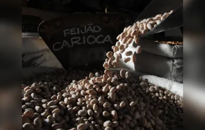 Imagem ilustrativa da imagem Feijão-carioca, o preferido do brasileiro, está mais caro e escasso