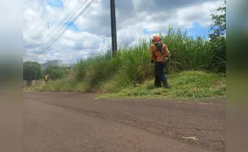 Começa fiscalização em Londrina de terrenos particulares com mato alto