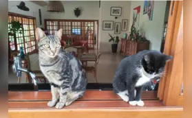 Nossa casa: o lugar mais humano