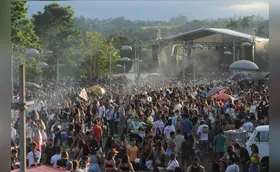 O problema não é o carnaval, é a falta de educação ambiental