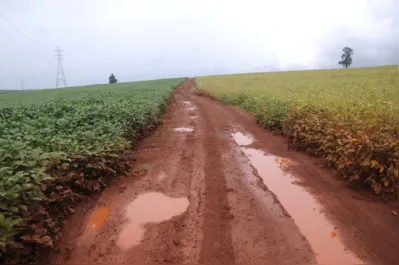 Imagem ilustrativa da imagem Chuva atrasa início da colheita de soja no Norte do Paraná