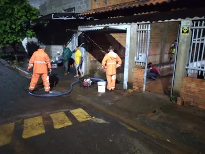 Imagem ilustrativa da imagem Chuvas geram estragos em cidades da região e do Norte Pioneiro