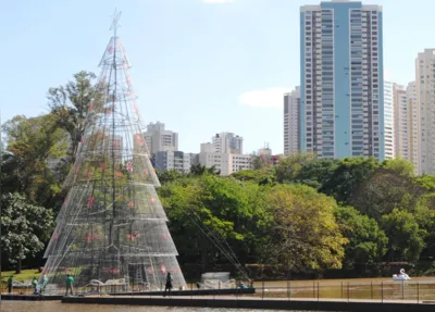 Imagem ilustrativa da imagem Concluída a estrutura da árvore de Natal no Igapó