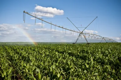 De acordo com a ANA, das 20 maiores commodities brasileiras, dez fazem uso de irrigação, entre elas arroz, café, cana, trigo, soja e milho