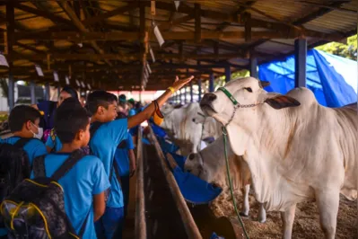 A visita aos estandes de animais encanta os estudantes