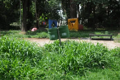 O mato alto se destaca para quem passa pelo Bosque Central Marechal Cândido Rondon, revitalizado há pouco mais de um ano