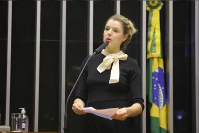 “Defendemos responsabilização aos culpados e punição exemplar na forma da lei. A ordem pública e o Estado Democrático de Direito devem prevalecer, sempre”, escreveu no Twitter a deputada federal Luísa Canziani