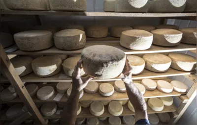 Valdeir e Marcia produzem nove tipos de queijo em Warta, distrito de Londrina