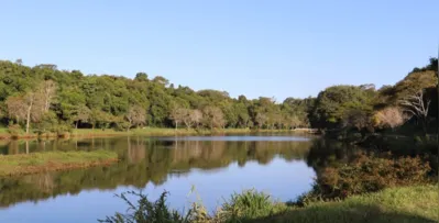 Imagem ilustrativa da imagem Parque Arhur Thomas ficará aberto para visitação no Natal