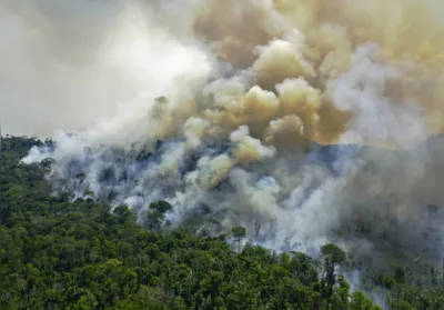 Imagem ilustrativa da imagem Texto defende cooperação regional e Sul-Sul para diplomacia ambiental