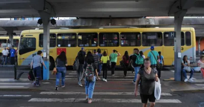 Imagem ilustrativa da imagem Transporte coletivo em Londrina será de graça no domingo de eleição