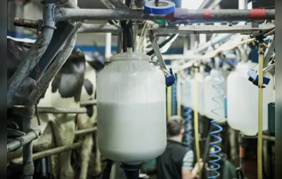 Imagem ilustrativa da imagem Após alta expressiva, preço do leite começa a cair no PR