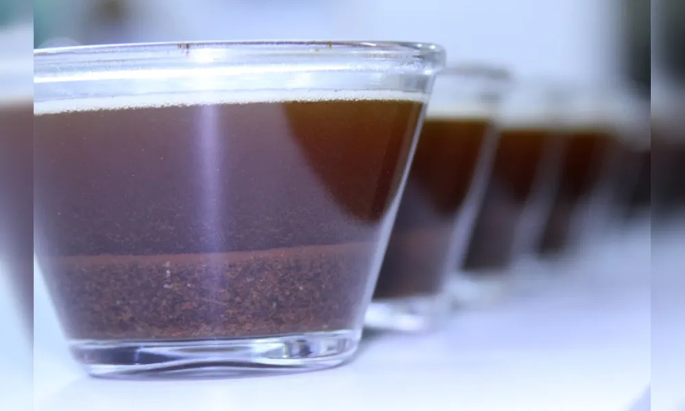 Imagem ilustrativa da imagem Abertas as inscrições para o prêmio Café Qualidade Paraná 2023
