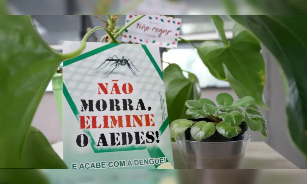 Imagem ilustrativa da imagem Após epidemia de dengue, LIRAa indica número de alerta em Londrina