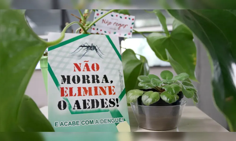 Imagem ilustrativa da imagem Londrina contabiliza 29 mil casos de dengue