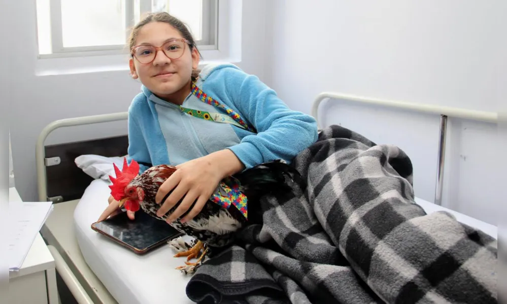 Imagem ilustrativa da imagem Menina com TEA consegue direito de ficar  com animal de suporte em hospital