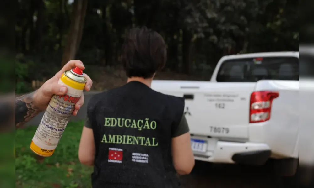 Imagem ilustrativa da imagem Repelente não espanta pombos do Bosque Central de Londrina