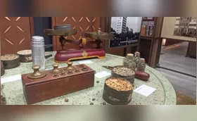 A cultura do café