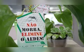 Após epidemia de dengue, LIRAa indica número de alerta em Londrina