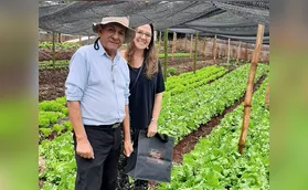 Cultivar Energia na Santos Dumont