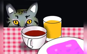 Histórias da vida cotidiana: um banquete com o gato