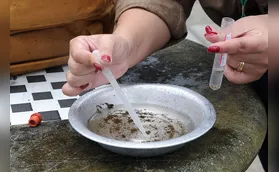 Londrina tem 4ª morte por dengue neste ano