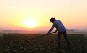 O Rural e o Agro