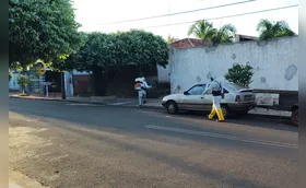 Região metropolitana tem sete cidades com menos de dez casos de dengue