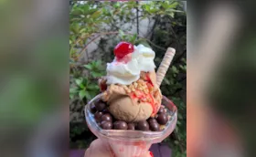 Sabor de vida