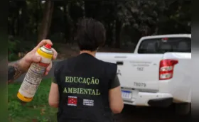 Sema faz teste de repelente natural para manejo de pombos do bosque