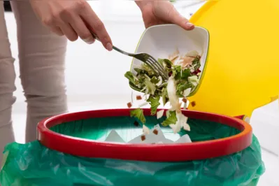 Nas residências, os principais alimentos que acabam indo parar no lixo são as comidas preparadas (40%), industrializados (18%) e legumes e verduras (16%