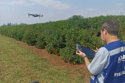 Operação Big Citros envolveu 40 profissionais e visitou 13 municípios do Noroeste do Paraná