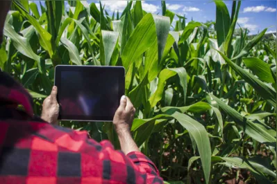 Caso o agricultor não tenha acesso à internet, as novas tecnologias serão subutilizadas e os recursos investidos não cumprirão com o objetivo