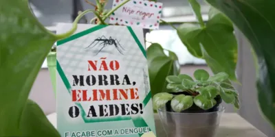 Imagem ilustrativa da imagem Após epidemia de dengue, LIRAa indica número de alerta em Londrina