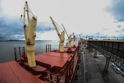 Segmento alimentício liderou as exportações paranaenses em março, com 37% do total vendido para fora